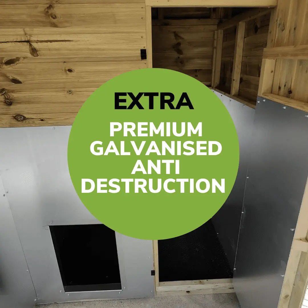 15x4ft Pent Duo Dog Kennel - Professional Installation Included